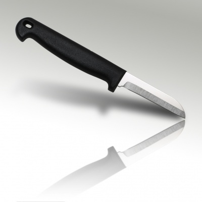 2.5'' Paring Knife Plastic Handle